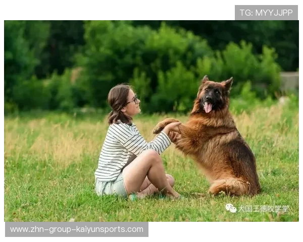 国王训练专题:如何扩大外围命中率成为当务之急